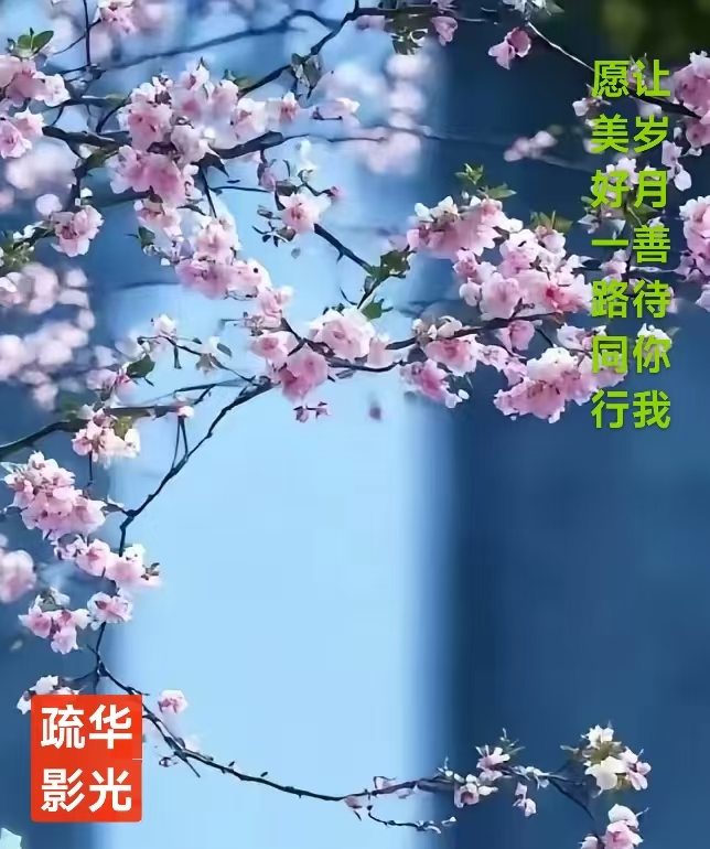 趣味藏头诗一组