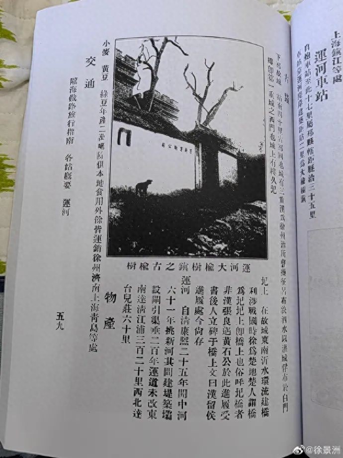 邳州大榆树老街的大榆树传说