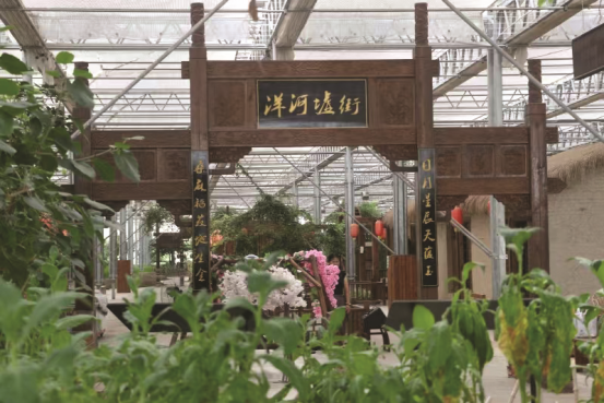 家门口的旅游胜地  ——再游洋河农业嘉年华