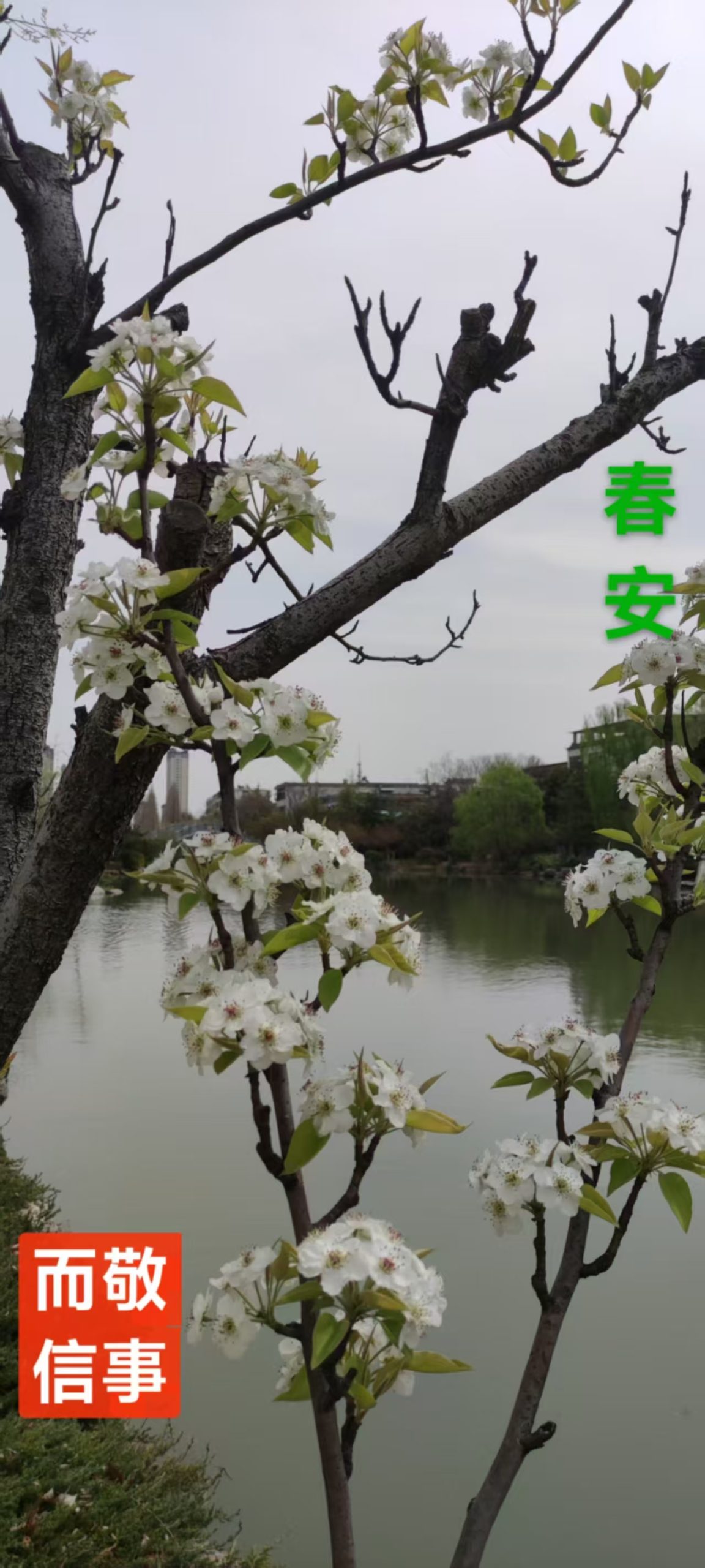 趣味藏头诗一组