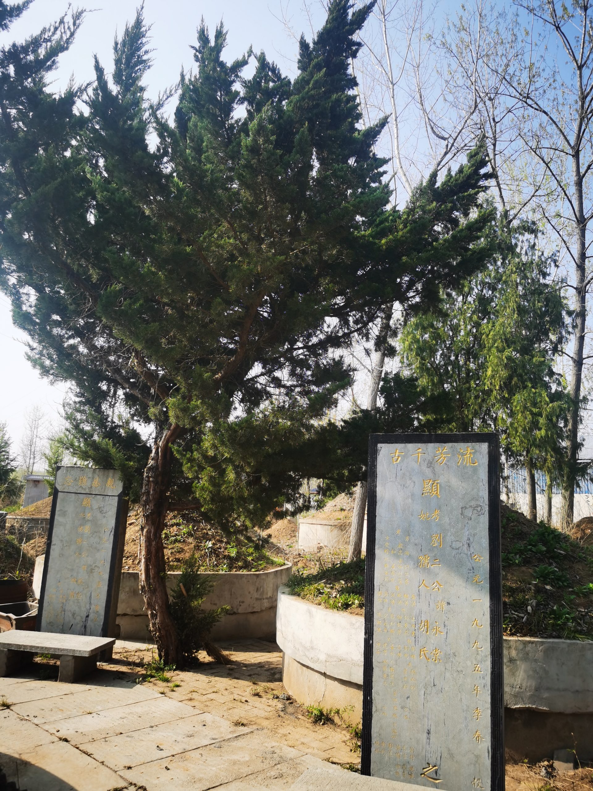 同心上坟