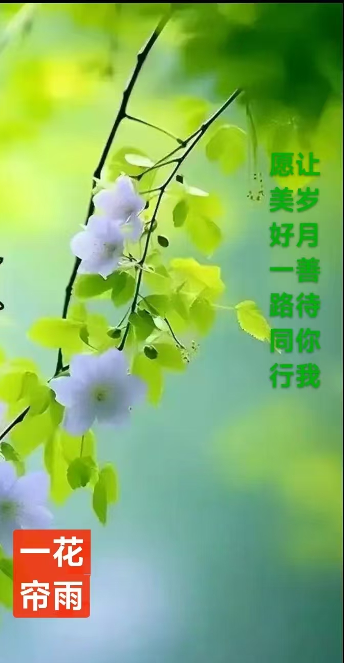 趣味藏头诗一组