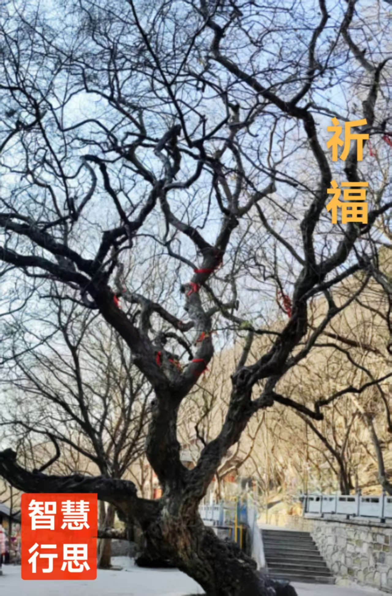 趣味藏头诗一组