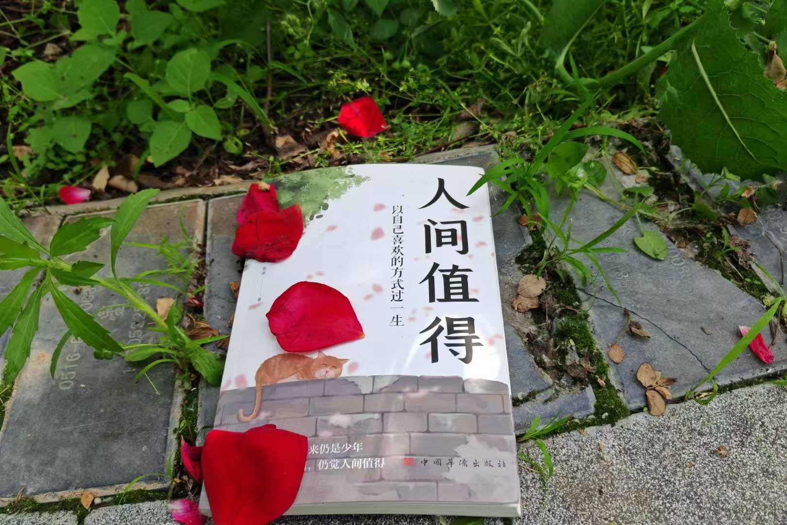 诗四首