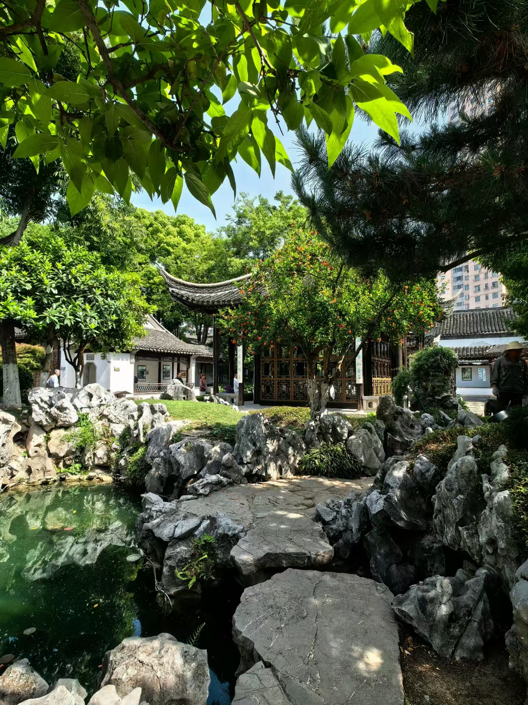 初夏浅吟