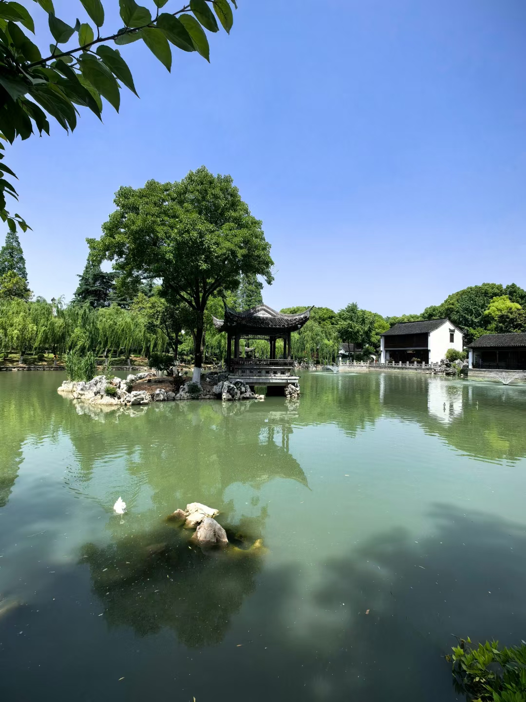 夏天的脚步