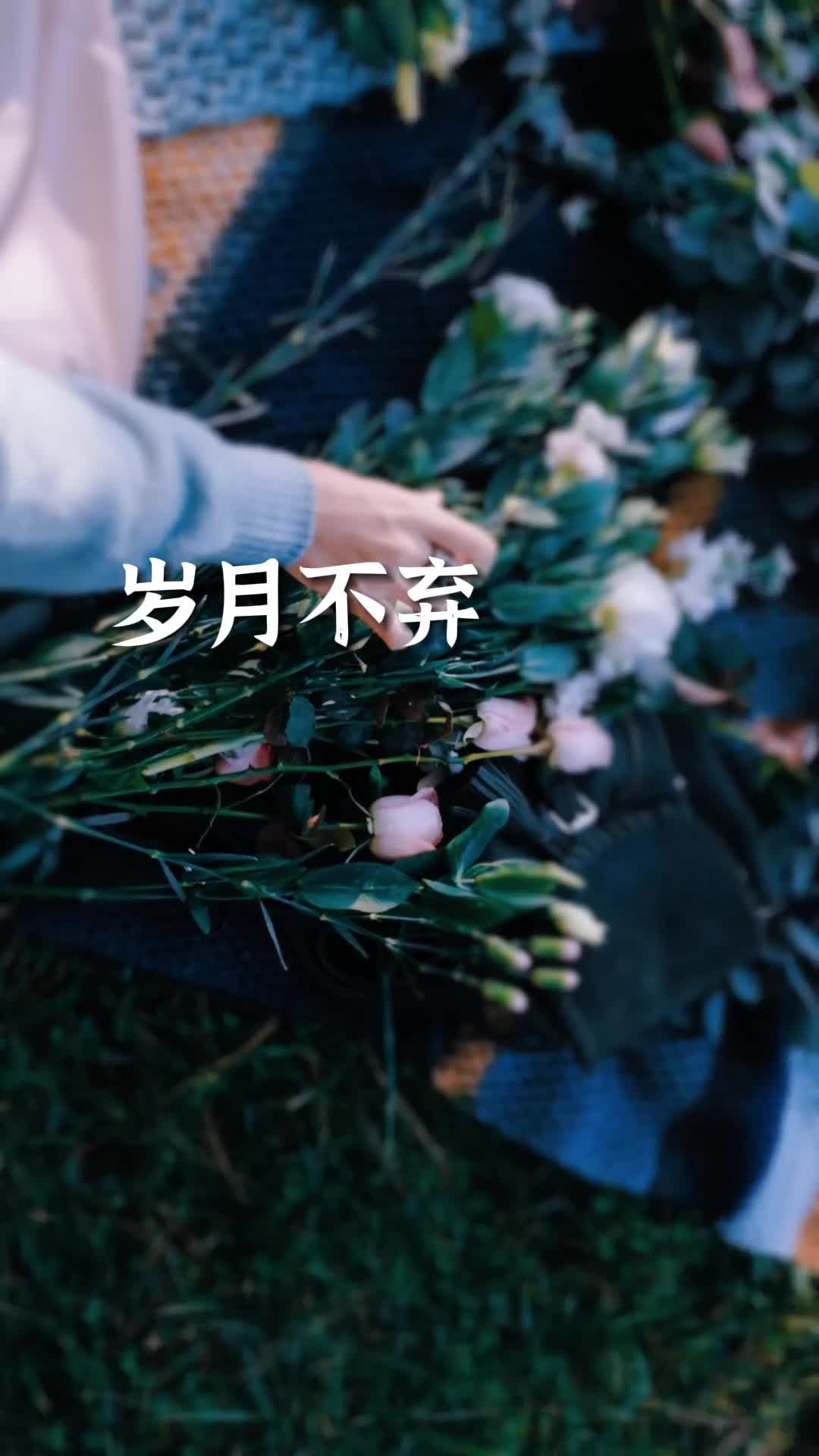 清品岁月
