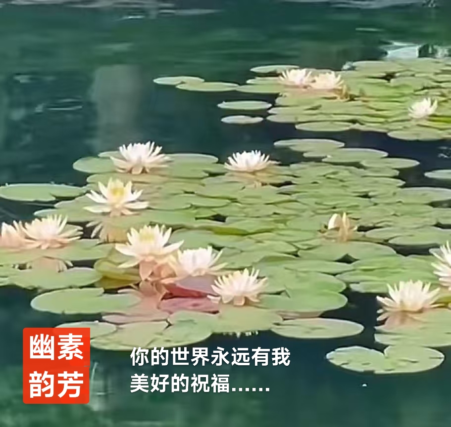 趣味藏头诗一组