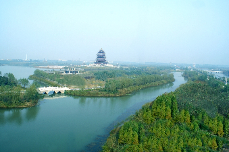邳州沙沟湖水杉公园