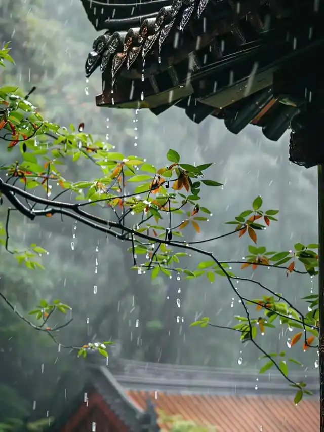夏日听雨