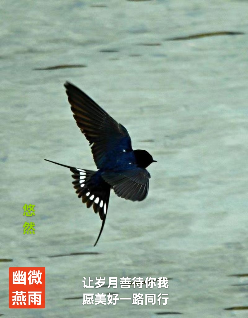 趣味藏头诗一组