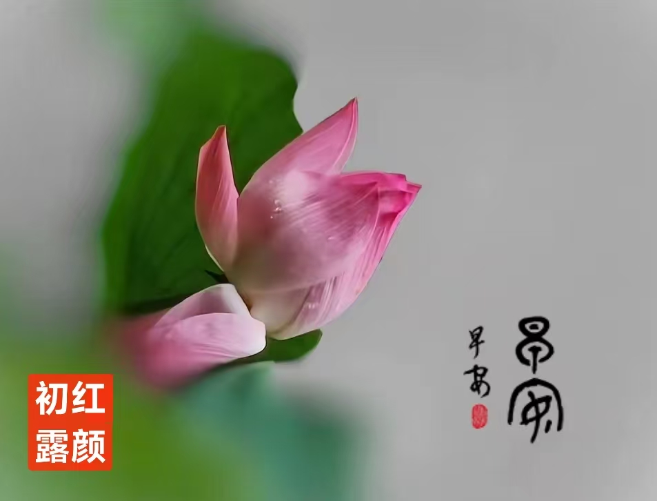 趣味藏头诗一组