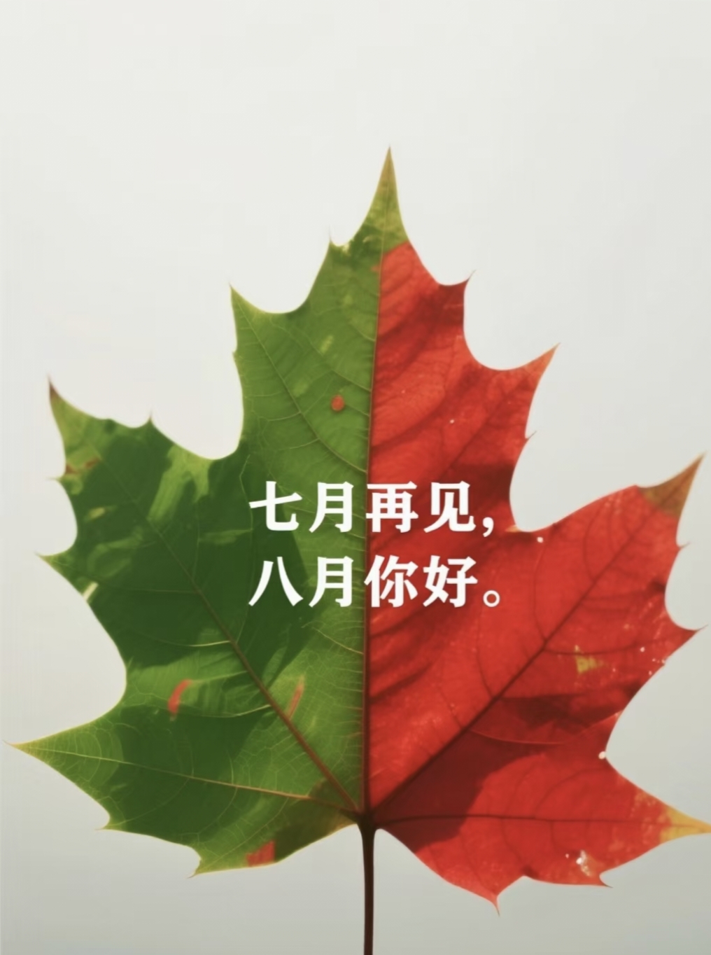 七月再见！八月你好！