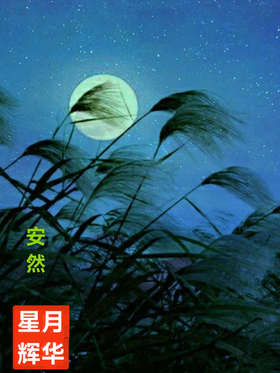 趣味藏头诗一组