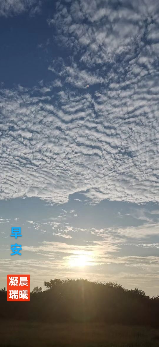 趣味藏头诗一组