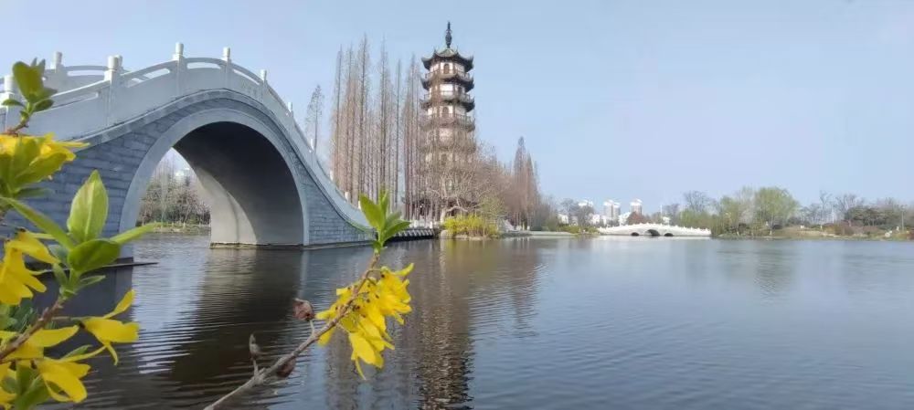 赞邳州桃花岛公园记