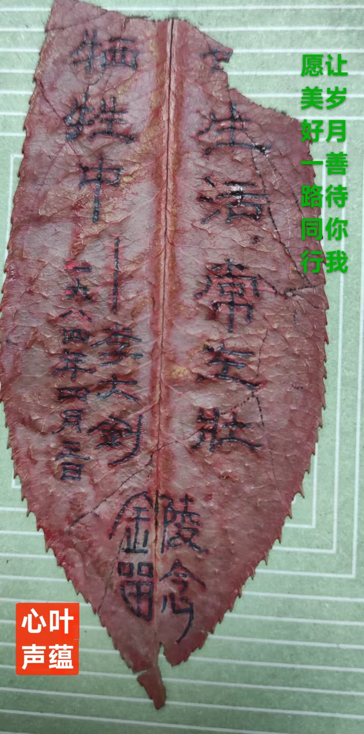 趣味藏头诗一组