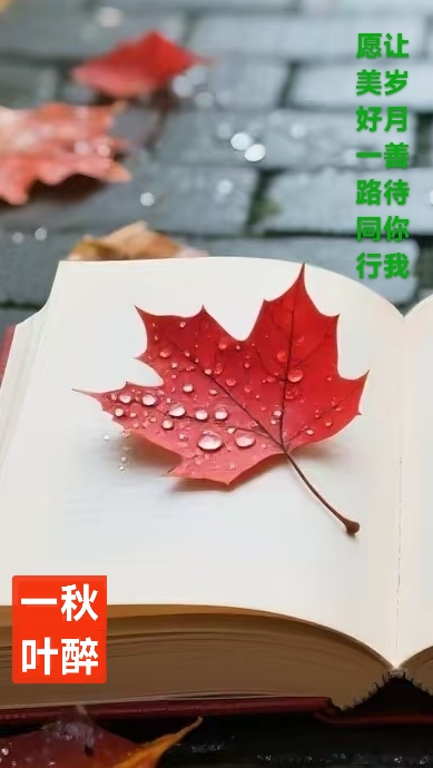 趣味藏头诗一组