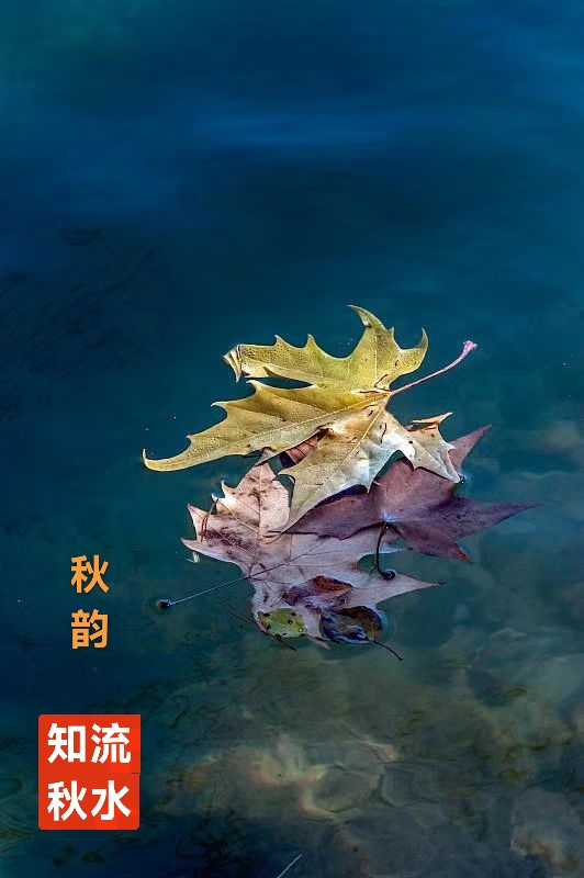 趣味藏头诗一组
