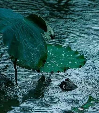 小院听雨