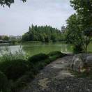 居易的头像