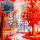谢端辉的头像
